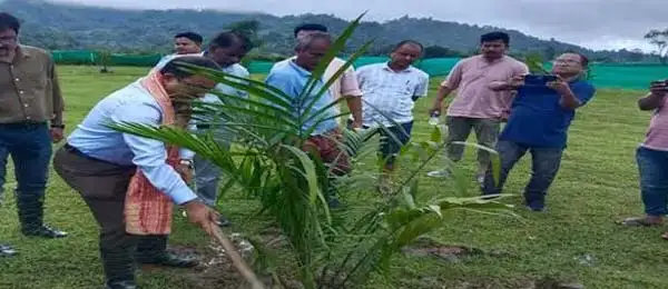 Cooking oil to turn cheaper as Centre halves customs duty on imports