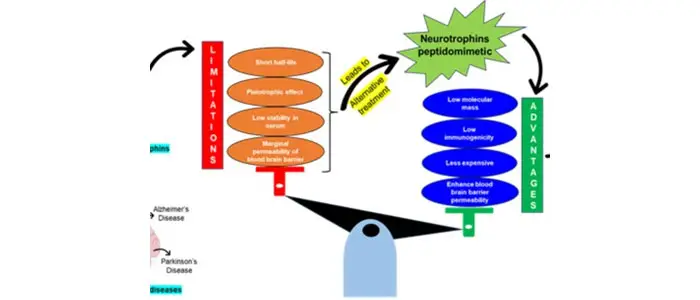 Indian scientists find drugs with potential to treat neurodegenerative disorders