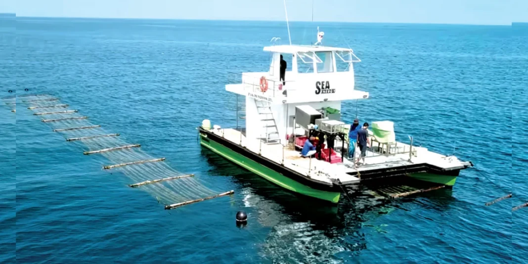 Promising prototypes