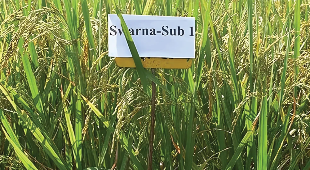 Climate-proofing farms