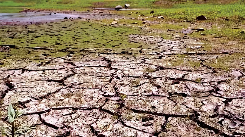 El Nino Threatens India's Monsoon, Crops and Inflation