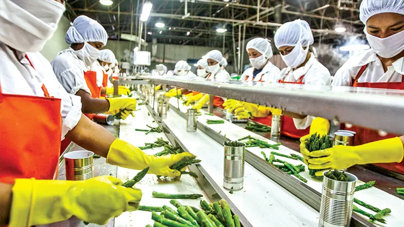 South Asia Food Processing to Drive Jobs and Growth