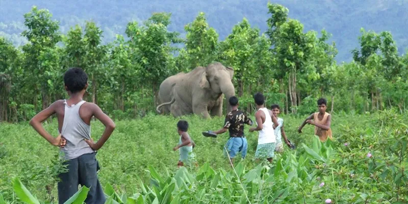 Human Wildlife Conflict India