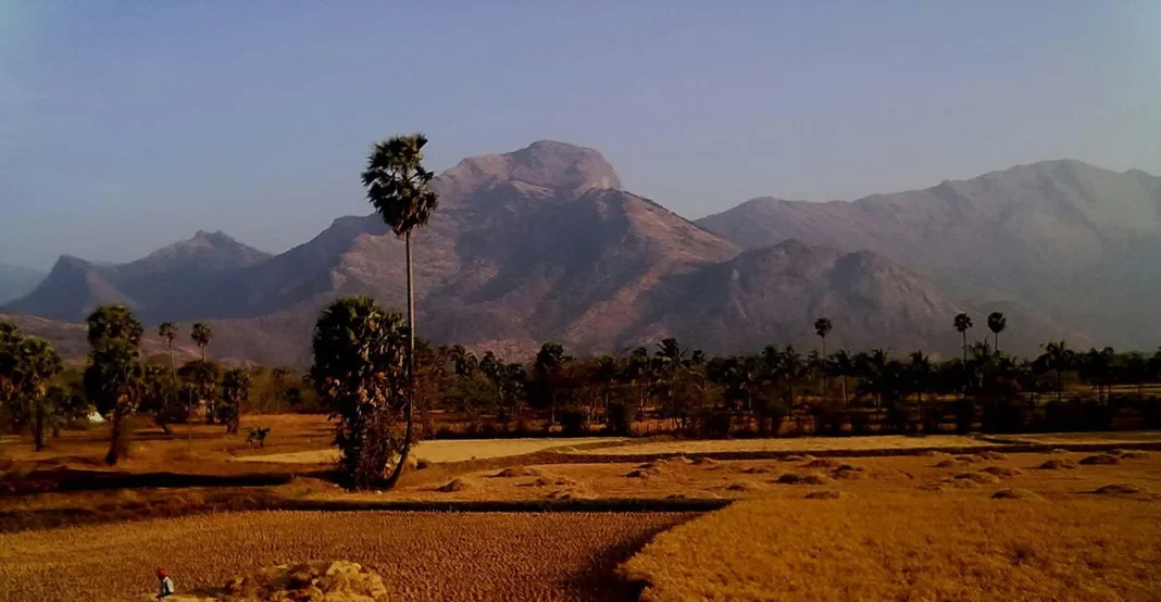 mansoon