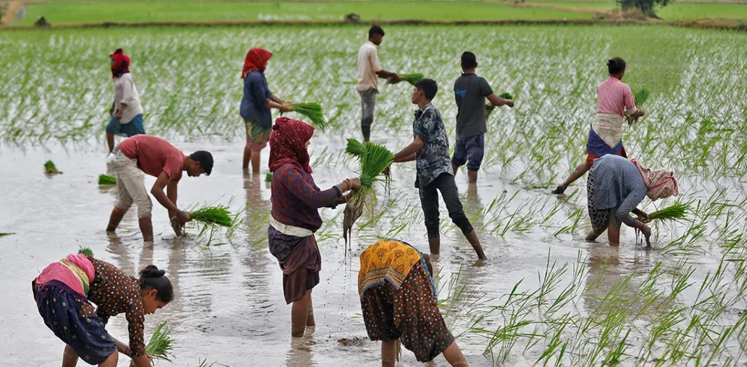 monsoon