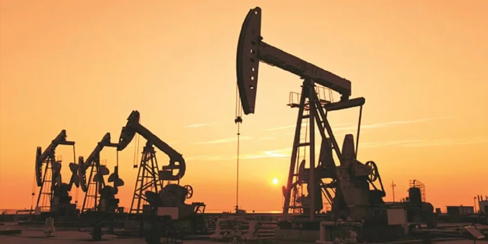 How India’s Economic Buffers Softened the Oil Shock