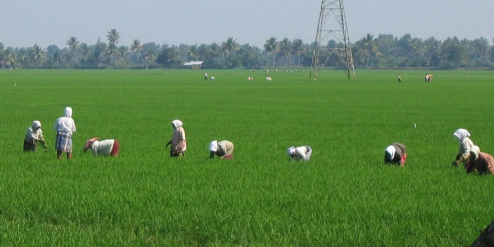 PM Kisan Fiscal Impact