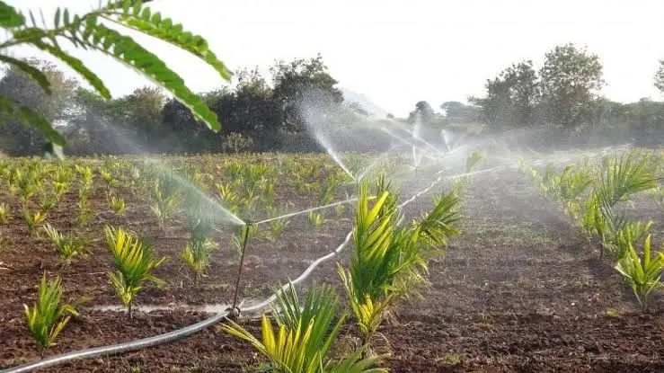 Micro Irrigation in India: 91.89% Sown Area Still Uncovered