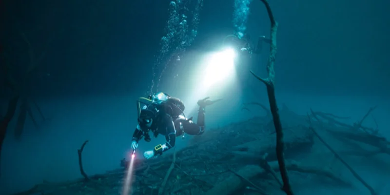 SDG 14: How Life Below Water Became a Global Sustainability Goal